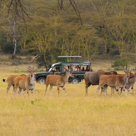 Lake Elmenteita Serena Camp Luaran gambar