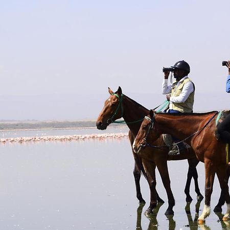 Lake Elmenteita Serena Camp Luaran gambar