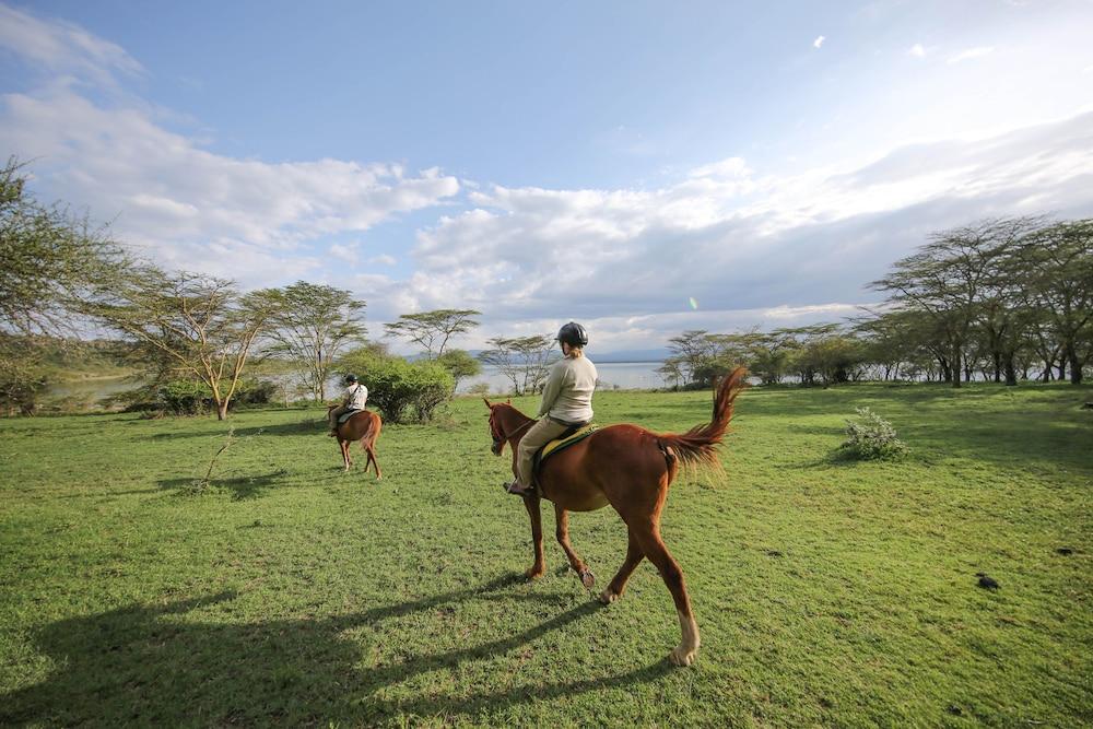 Lake Elmenteita Serena Camp Luaran gambar