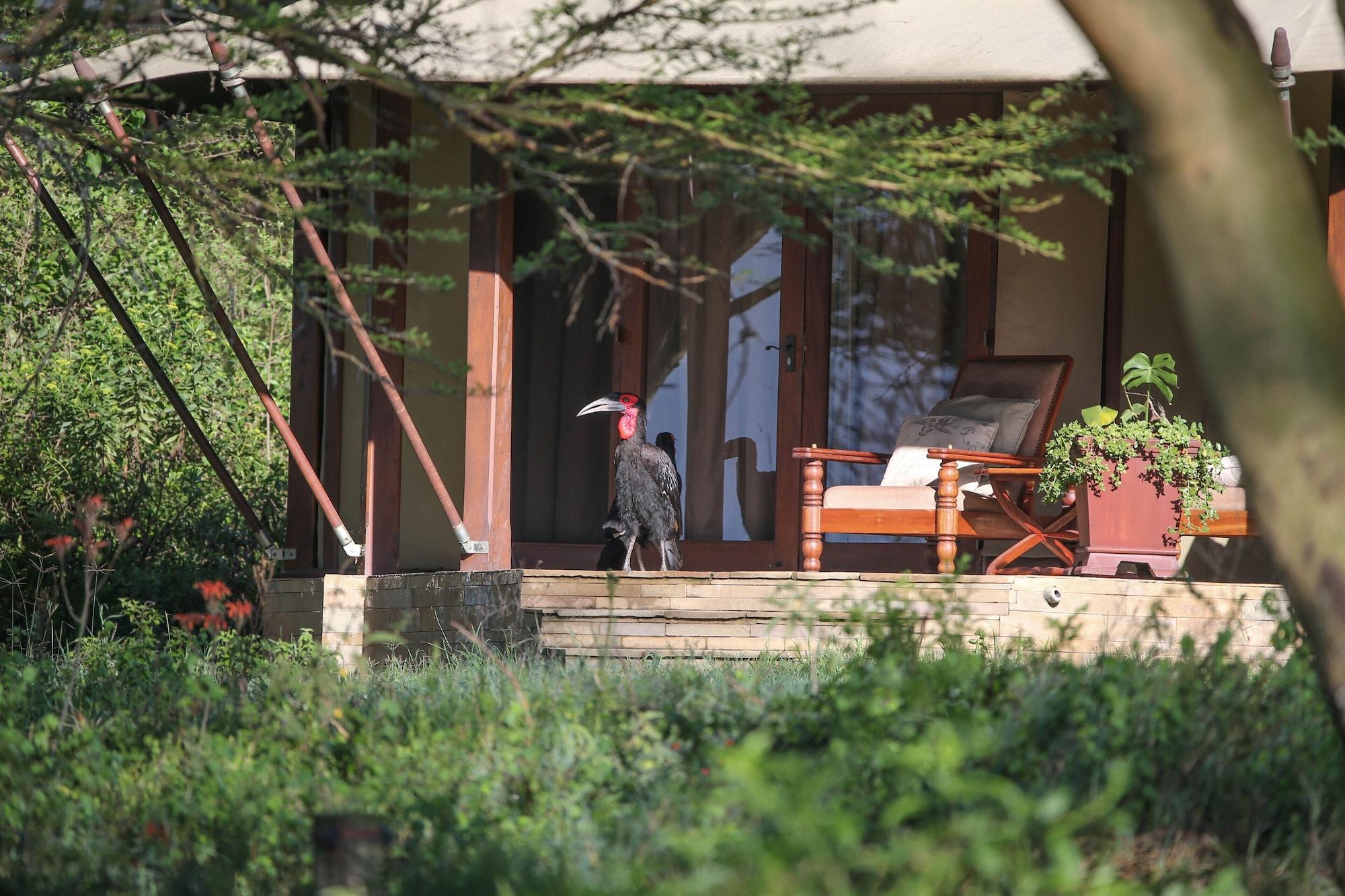 Lake Elmenteita Serena Camp Luaran gambar