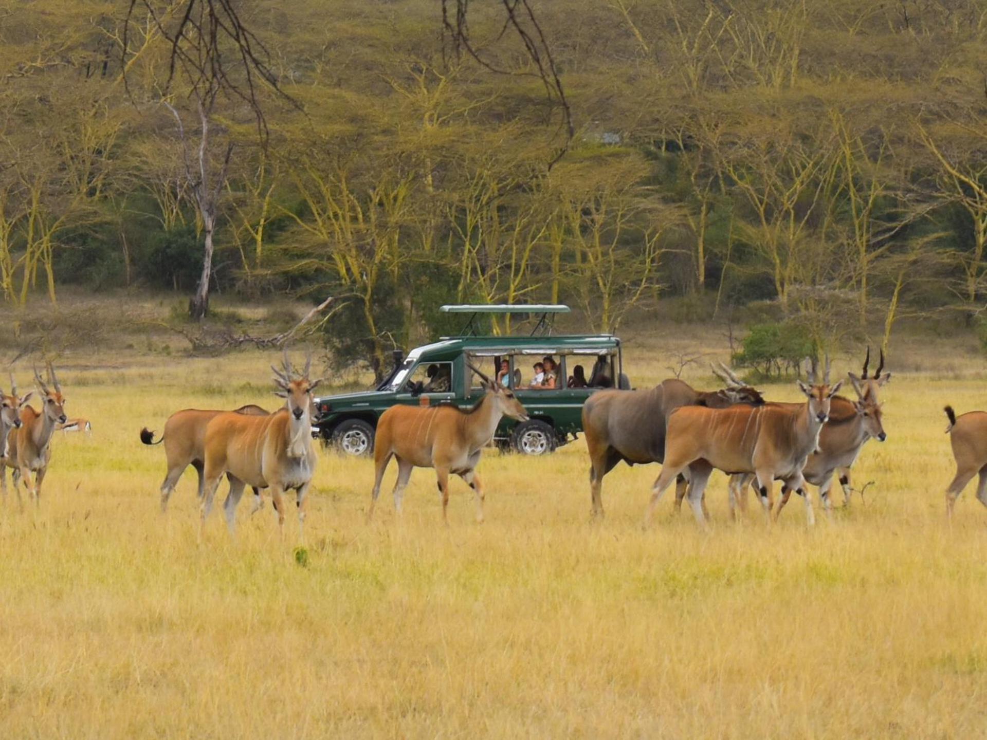 Lake Elmenteita Serena Camp Luaran gambar