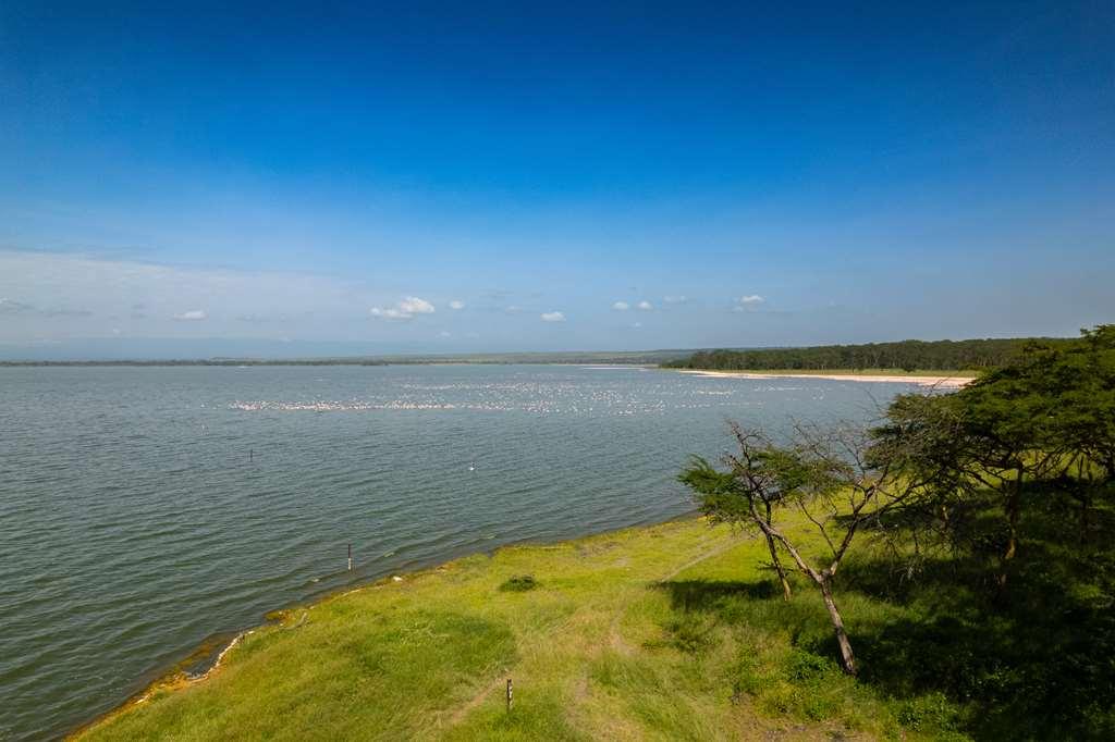 Lake Elmenteita Serena Camp Luaran gambar