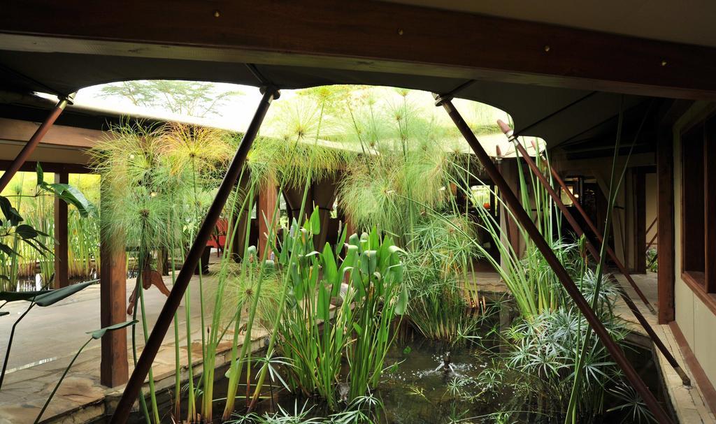 Lake Elmenteita Serena Camp Luaran gambar